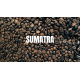Sumatra coffee 200 gr